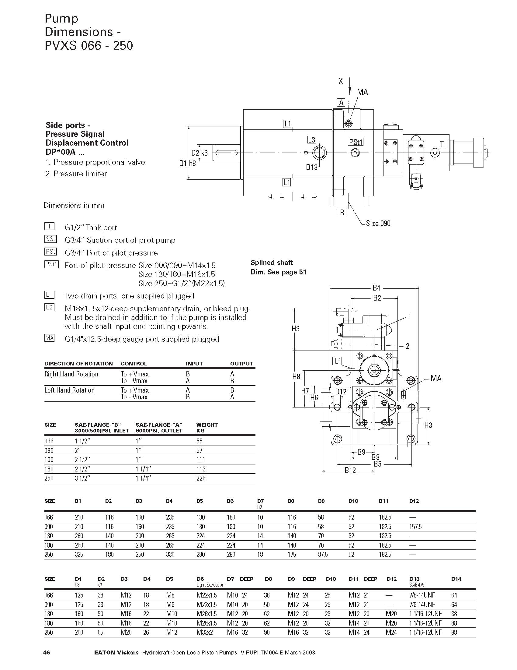 PVXS英文样本照片-2
