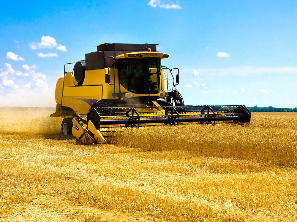 Other Industries and Multi-Domain Application