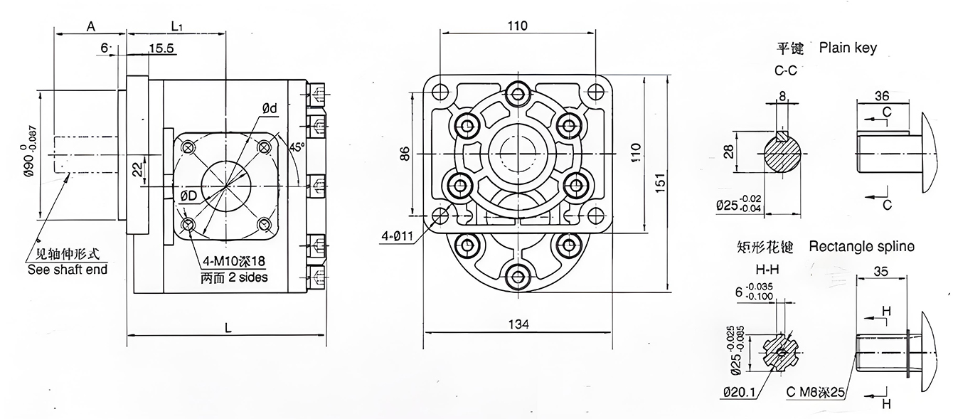 China Manufacturer Hydraulic gear oil pump-2