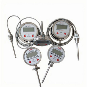 Digital Temperature Controller TS480