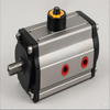 MDP VTY Pneumatic Actuator 