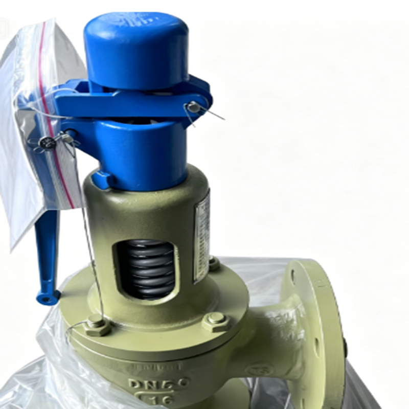 Safety valve.png