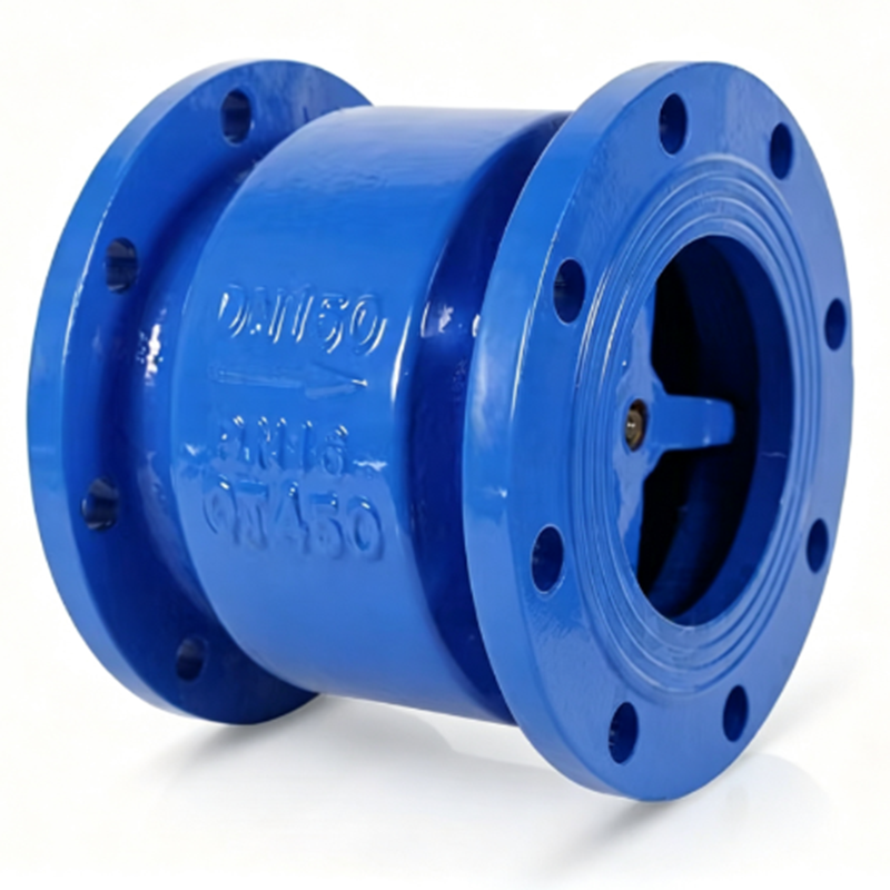 Check valve.png